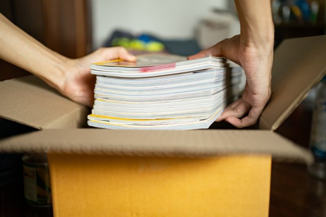 Exploring Human Behavior: The Psychological Reasons We Become Collectors